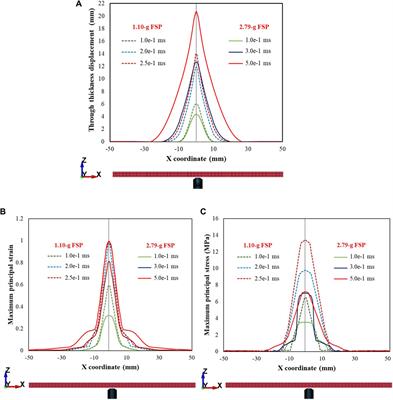 Investigation of dynamic responses of skin simulant against fragment impact through experiments and concurrent computational modeling
